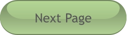 Next Page